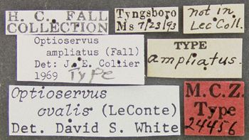 Media type: image;   Entomology 24456 Aspect: labels